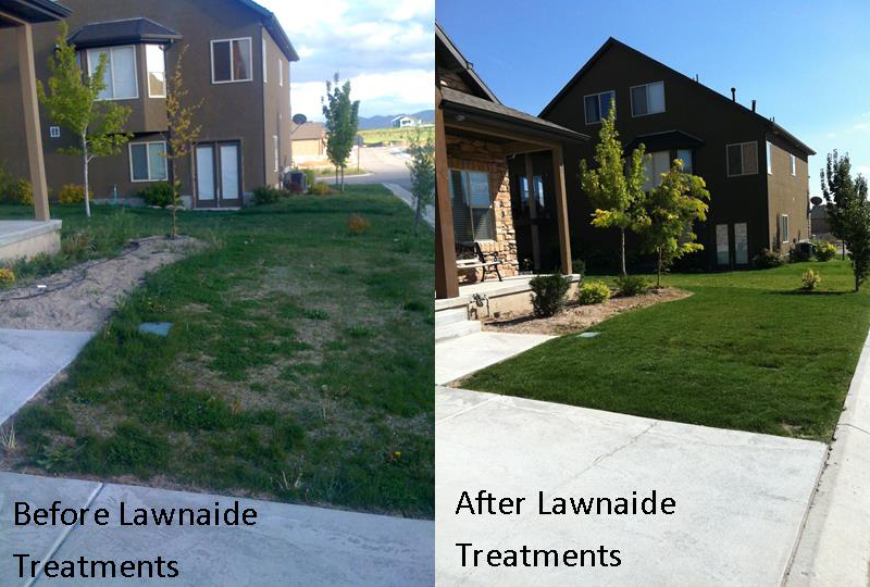 Before and after LawnAide lawncare service.  