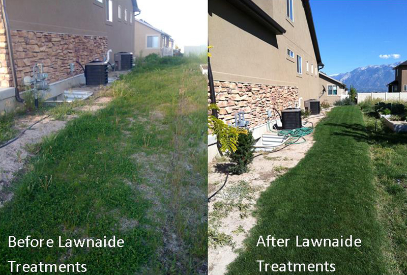 Lawn Care Treatments Before and After